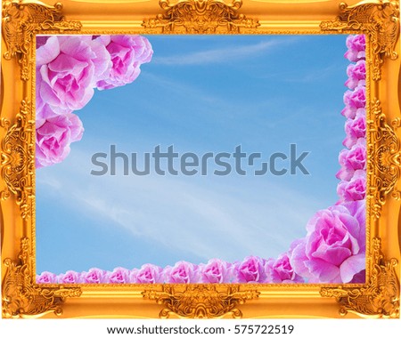 pink rose in gold frame texture.
