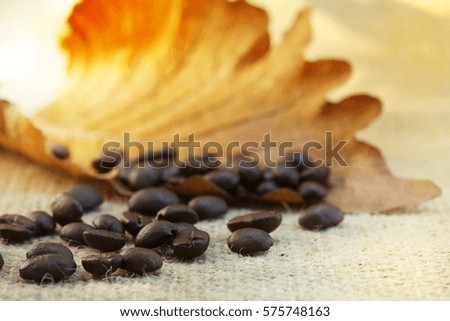 Coffee beans on dry leave, selective focus and toned image.