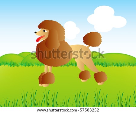 poodle in wild nature - vector illustration