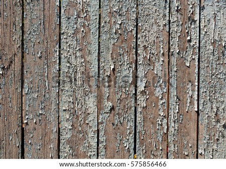 Grungy color fence texture. Abstract background and texture for design.