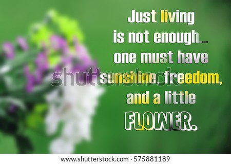 Inspirational quote on beautiful flower photo - quote about love