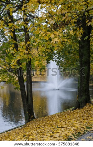 Autumn beauty in park