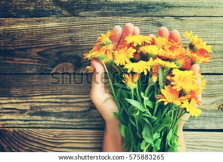 Yellow summer flowers in female hands against a wooden surface. Bouquet from a marigold. Calendula flowers. Festive bouquet