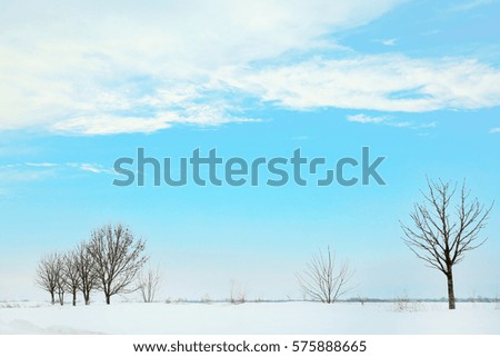 Beautiful winter landscape with trees on blue sky background