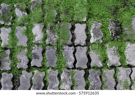 Brick and green grass background texture