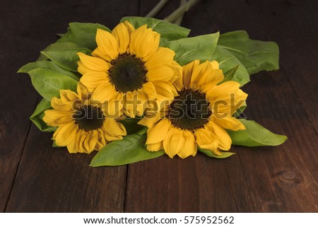 Shiny yellow sunflowers with green leaves on a dark wooden boards texture with copy space