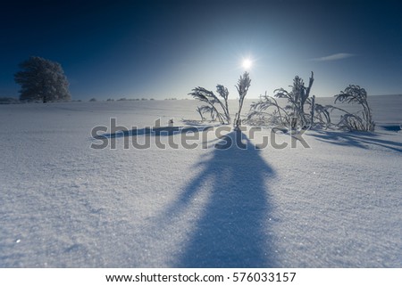 Winter in the countryside with snow and ice and sun as well as hoarfrost on the trees in the field. Radiant sun on a beautiful winter day in the country.
The bright sun in the backlight.