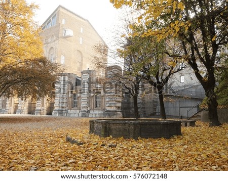 A carpet of yellow leaves covering the square near the Castle of Rivoli