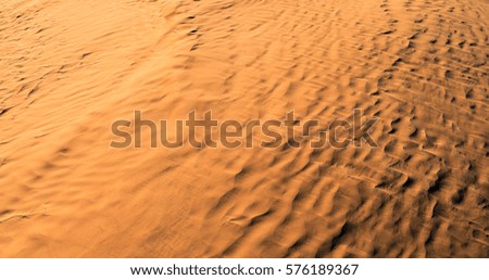 Color of sunset on the desert surface. Natural texture and background of the desert. Sand patterns