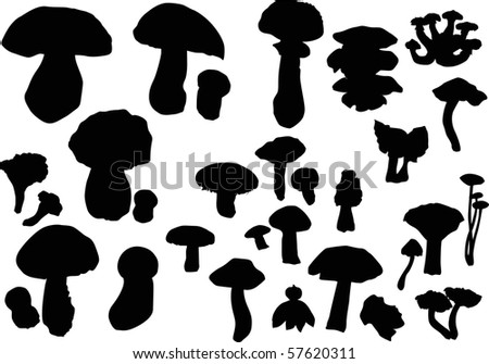 illustration with fungus silhouettes isolated on white background