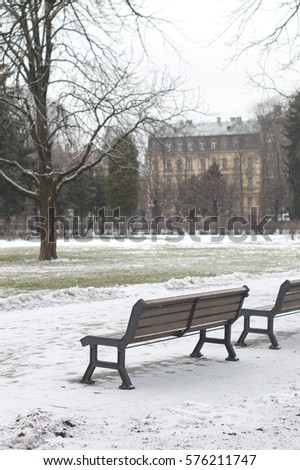 Benches in empty park in winter without people, a tree trunk and distant many storied building