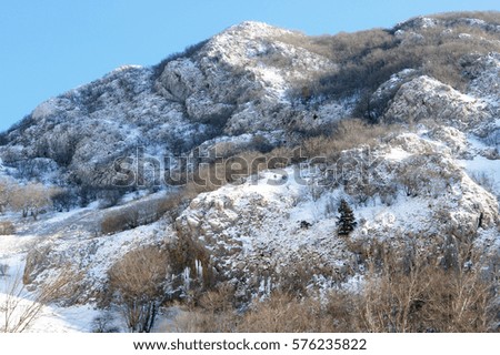 Wooded snowy mountain slope on blue sky background