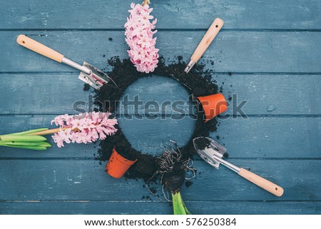Spring - gardening tools and flowers. Hyacinth, cactus and pots on wooden background . Copy space 