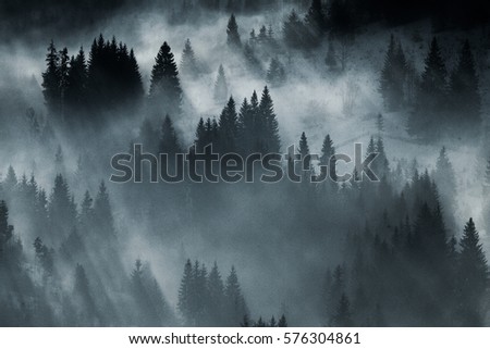 Beautiful winter landscape in the mountains. Sunrise. Carpatian valley with fog and snow. Carpathian winter mountains. Early morning light lay on a mountain hill. Royalty-Free Stock Photo #576304861