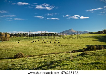 breathtaking colorful landscape in sunlight with green grass, mountain la rhune in blue sky, basque country, france