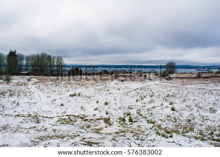 Winter Meadow: The Discovery Park meadow in the winter. Royalty-Free Stock Photo #576383002