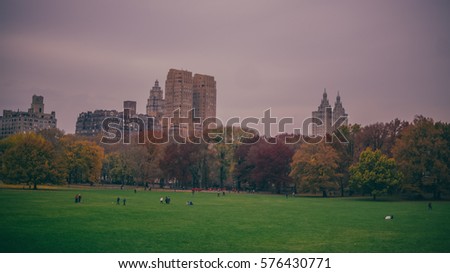View of New York Skyline from Central Park