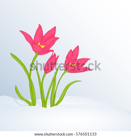 Beautiful spring background with Tulipa in snow for congratulations with spring or Womens Day. Holiday poster or placard template in cartoon style. Vector illustration. Flower Collection.
