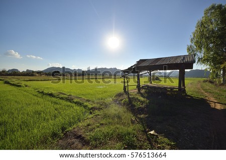Silhouette landscape of the mountain and the rice field in natural light ( Sunrise ) at Sukhothai, Thailand