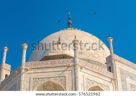Details of decorations in Taj Mahal, Agra India