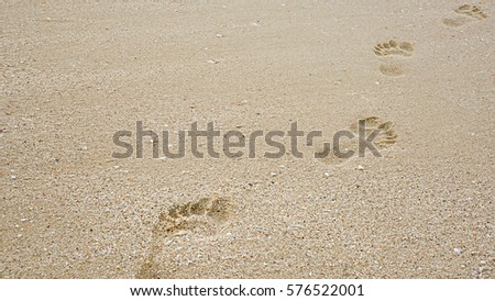Footprints on the beach sand, Surface of human footmarks on smooth sand at the seaside, In summer, Texture background