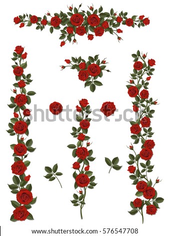 Branches climbing scarlet rose flower with leaves and buds. Elements can be used as a Art Brush to create of any curled form. To decorate the balcony facades, fence, wall and gift or wedding card.