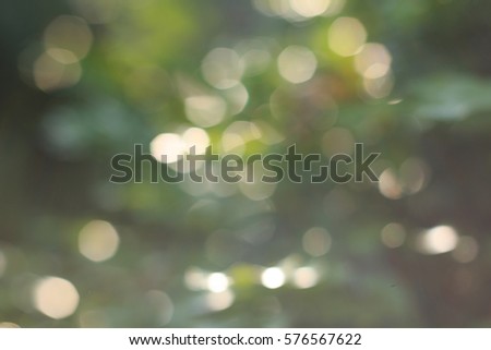 light green abstract bokeh background, for graphic background.