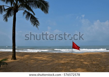 Red Flang on the beach and Washed ashore, Sea  and sand  in the morning,Khao Lak, Phangnga, Southern of Thailand, Andaman sea  
