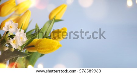 Spring background. Greeting card for Mother's Day, 8 March, Birthday, Teacher's Day