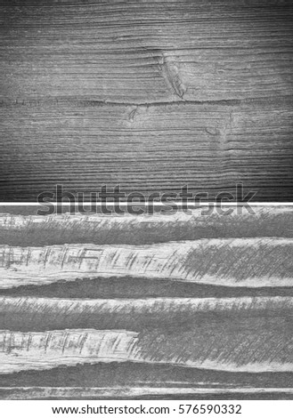 Wood texture. Lining boards wall. set. Wooden background. pattern. Showing growth rings