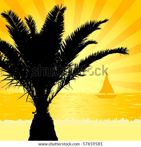Palm silhouette in the sunset