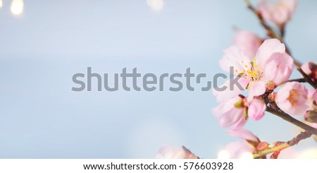 Spring background. Greeting card for Mother's Day, 8 March, Birthday, Teacher's Day, Easter