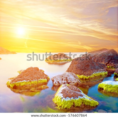 A magical landscape with stones and moss in the sea