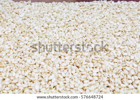 Sesame seeds as background. Sesame seed texture. 