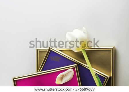 Colored frames overlaid on each other and white Tulip. The view from the top. Closeup