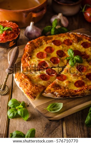 Homemade cheese pizza with salami, delicious pizza with cheddar