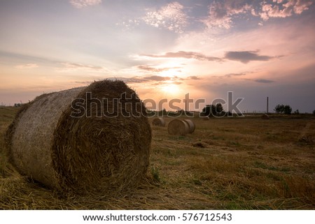 Picture of hay bales across the stubble at the end at the summer