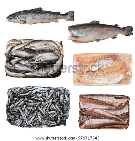 set of a different frozen fish. isolated on white backgound