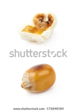 Semi-opened popcorn kernel isolated over the white background, set of two different foreshortenings