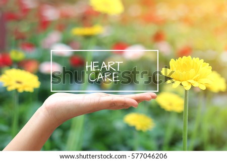 Heart Care word on the white box. concept hand with natural background