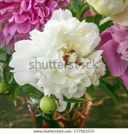 Bouquet of beautiful flowers of peonies