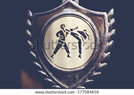 Karate cup Royalty-Free Stock Photo #577084858