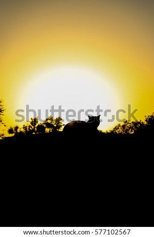black silhouette of a cat. roof top.yellow background.summer sunset.evening. big sun.loneliness. loneliness. vertical view