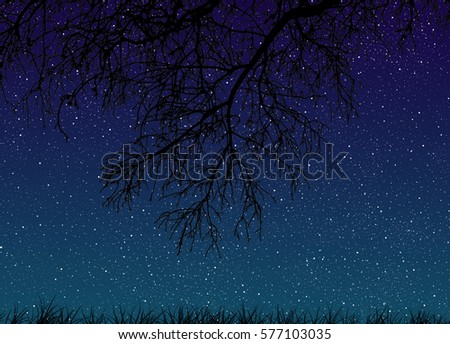 Night starry sky with tree branches close-up and grass view from below