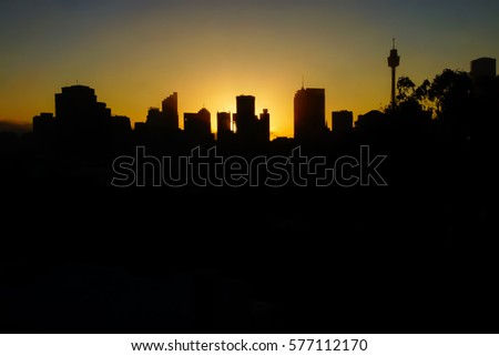 A night time view of Sydney skyline