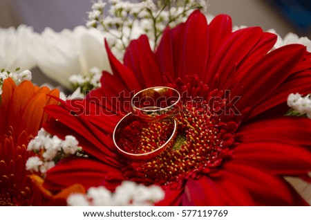 Gold wedding rings lie on a gentle red Gerber