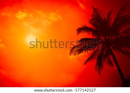 summer season at the beach, silhouette palm tree with clear sunny sky with extreme hot sunshine day background.