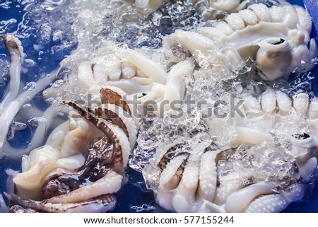 Fresh Squid in market background.
