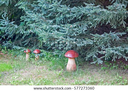 Mushrooms close-up under the pine trees.