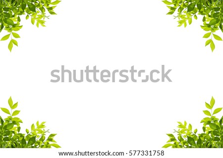 Green leaf border isolated on white background. Clipping paths included.